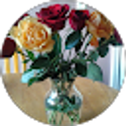 Profile photo of Diane Gibbs