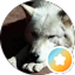 Profile photo of Gus Scott-Exley