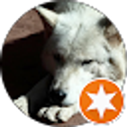 Profile photo of Gus Scott-Exley