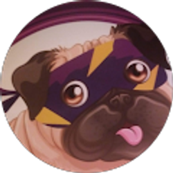 Profile photo of Pug Ninja