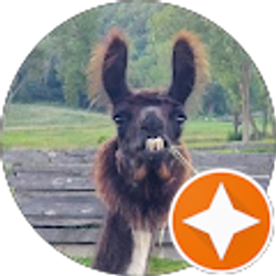 Profile photo of Lisa Daujotas