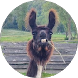 Profile photo of Lisa Daujotas