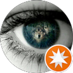 Profile photo of Louis M. “My Duke” Stefan