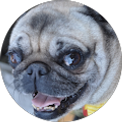 Profile photo of leslie labrecque