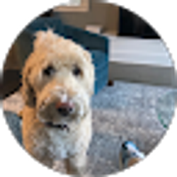 Profile photo of Kerri Franklin