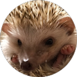 Profile photo of KAREN IGLESIAS SANCHEZ