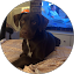 Profile photo of Victoria