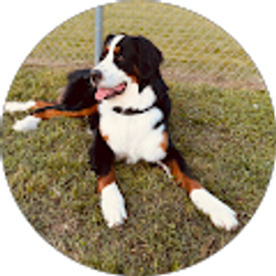 Profile photo of Kalyee Childers