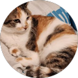 Profile photo of Dawn Ralston