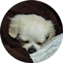 Profile photo of Mollie Hernandez