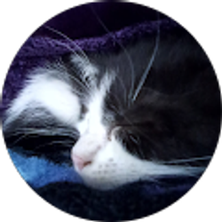 Profile photo of Francine Jensen