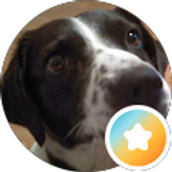 Profile photo of C Travis