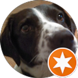 Profile photo of C Travis