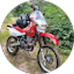 Profile photo of ken downs