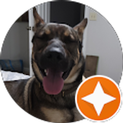 Profile photo of Lisa Williams-Lewin