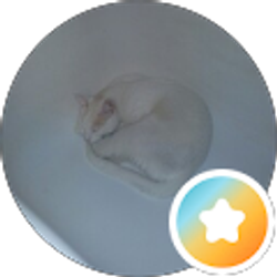 Profile photo of Gary Gaz