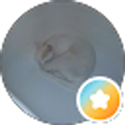 Profile photo of Gary Gaz