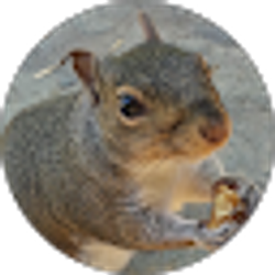 Profile photo of Penny Lew
