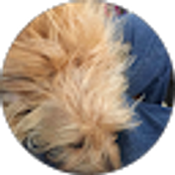 Profile photo of Michael Keeth