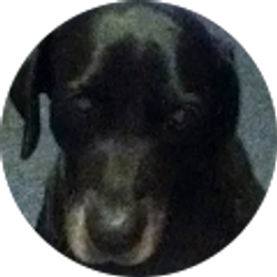 Profile photo of Susan Shaw