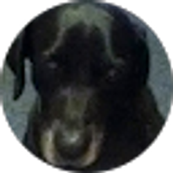 Profile photo of Susan Shaw