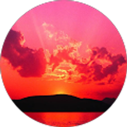 Profile photo of Bridgett Hahn