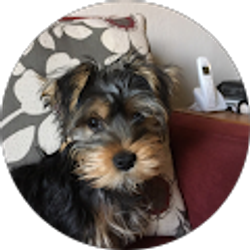 Profile photo of Jon Blauw