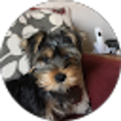 Profile photo of Jon Blauw
