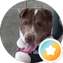 Profile photo of Tammy Dunbar