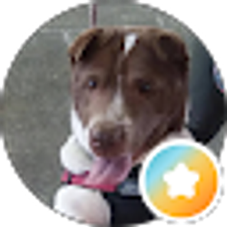 Profile photo of Tammy Dunbar