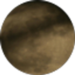 Profile photo of Matias Rodriguez