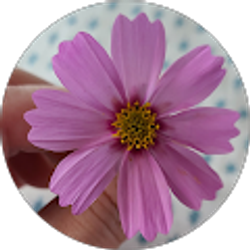 Profile photo of Shanna Lacayo