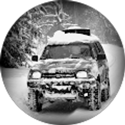 Profile photo of Avdian Paljevic