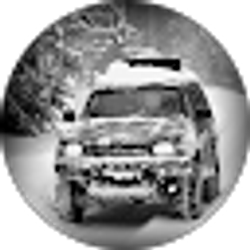 Profile photo of Avdian Paljevic