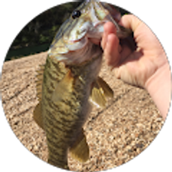 Profile photo of Dylan Kendrick