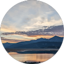 Profile photo of Tom Bailey