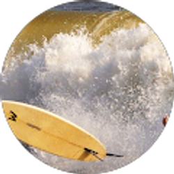 Profile photo of b h