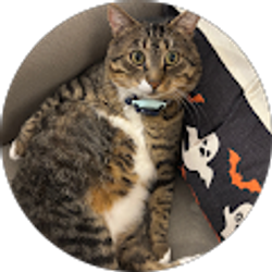 Profile photo of Justin Nickel