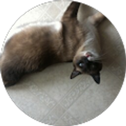 Profile photo of Alex Romero