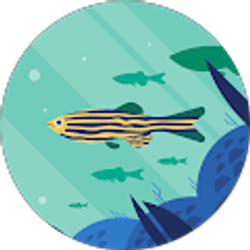 Profile photo of Hana