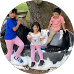 Profile photo of Roi Nau