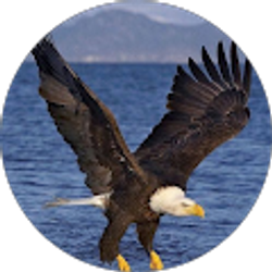 Profile photo of Blake Giebler