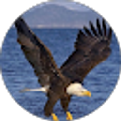 Profile photo of Blake Giebler