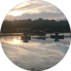 Profile photo of Yasminda Williams