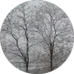 Profile photo of Betty Chen