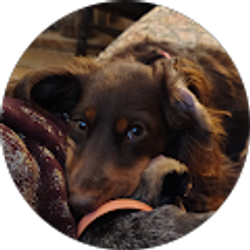 Profile photo of Jennifer Hennigan