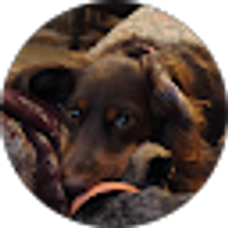 Profile photo of Jennifer Hennigan