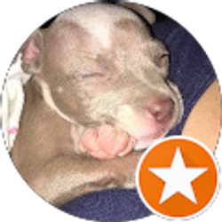 Profile photo of Isabel Ortiz