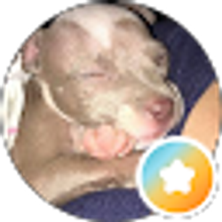 Profile photo of Isabel Ortiz