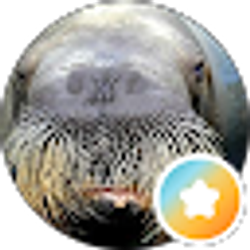 Profile photo of Brad Counard JR
